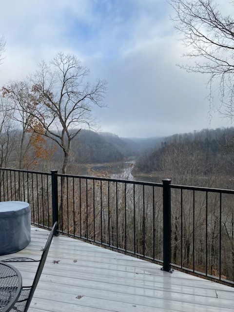 290 Spring Circle Smithville, TN 37166 - Photo 48 of 49