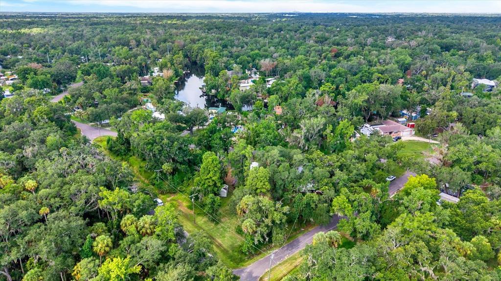 3913 Alafia Boulevard Brandon, FL 33511 - Photo 4 of 22