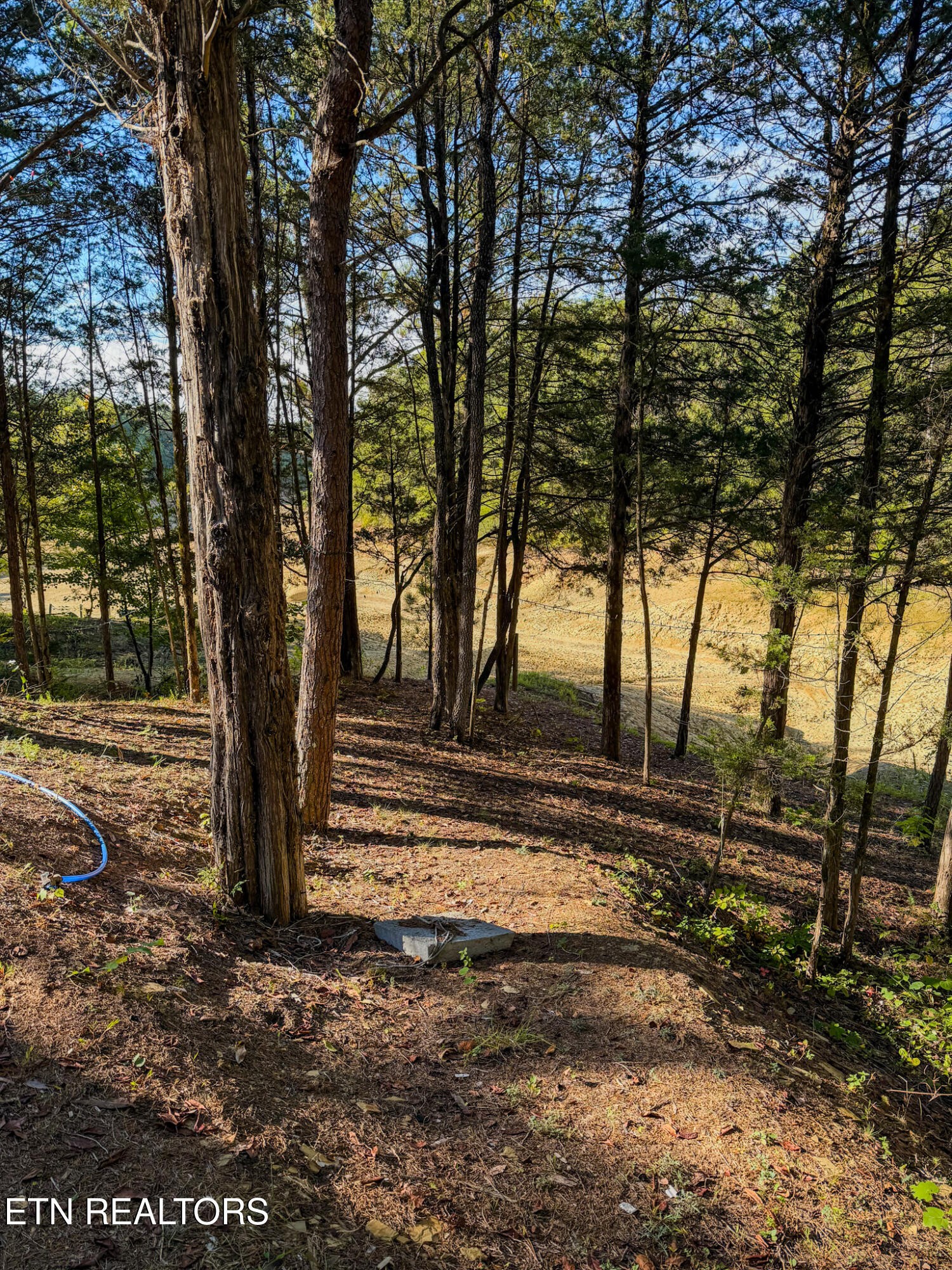 0 2859 Buck Horn Road Sevierville, TN 37876 - Photo 7 of 9 Gallery Image 7