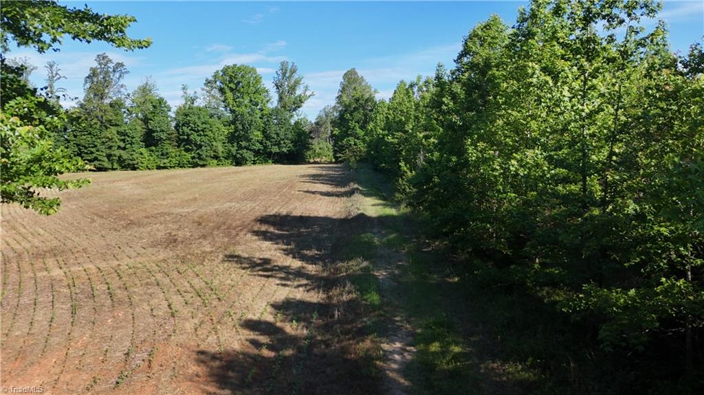 0 Nubbin Ridge Road Reidsville, NC 27320 - Photo 13 of 13
