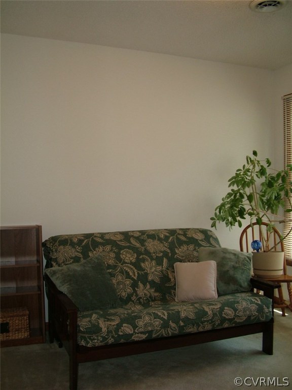 5721 Long Cove Road Midlothian, VA 23112 - Photo 33 of 42 a living room with a couch
