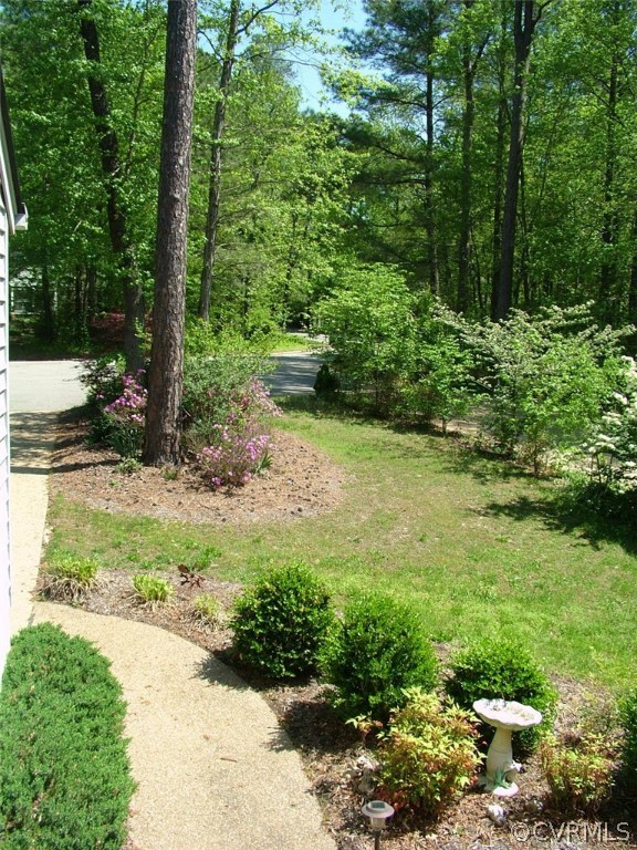 5721 Long Cove Road Midlothian, VA 23112 - Photo 6 of 42 a view of a yard with plants and large trees
