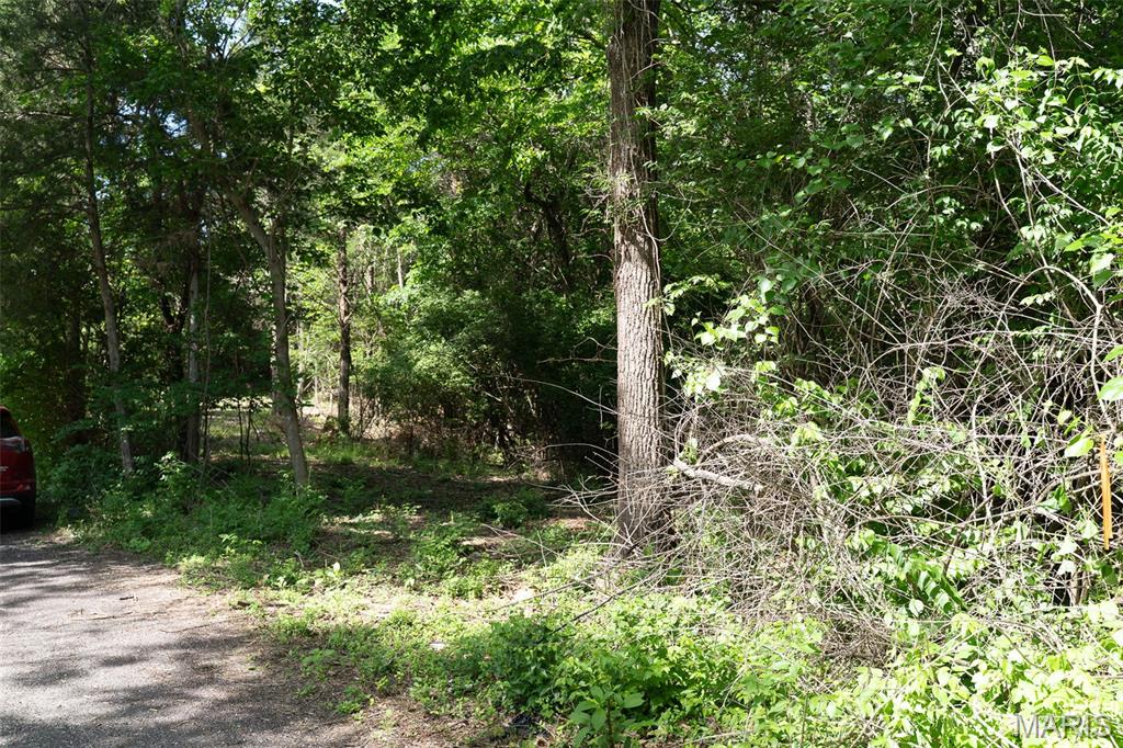 0 High Street Pacific, MO 63069 - Photo 10 of 25