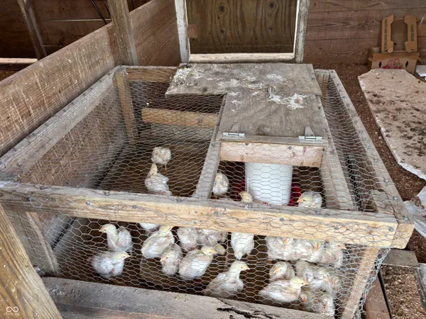 $365,000 | 7710 East 720th Street South, Carbon, IN 47837