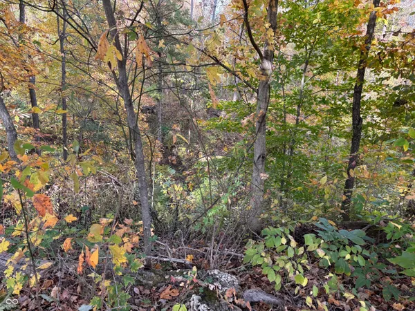 $365,000 | 7710 East 720th Street South, Carbon, IN 47837