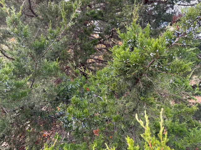 $375,000 | 7710 East 720th Street South, Carbon, IN 47837