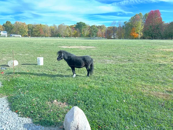 $365,000 | 7710 East 720th Street South, Carbon, IN 47837