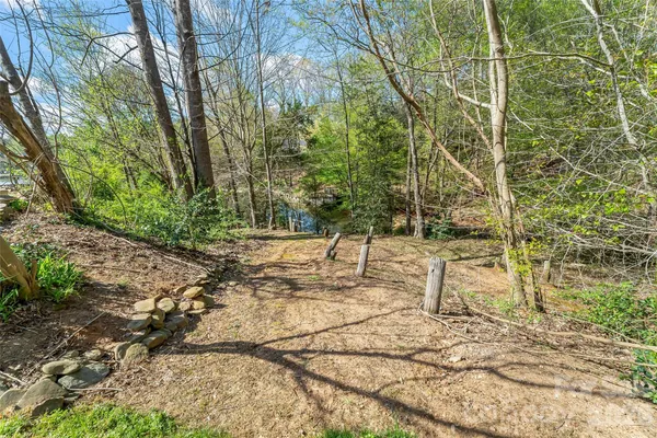 a view of yard