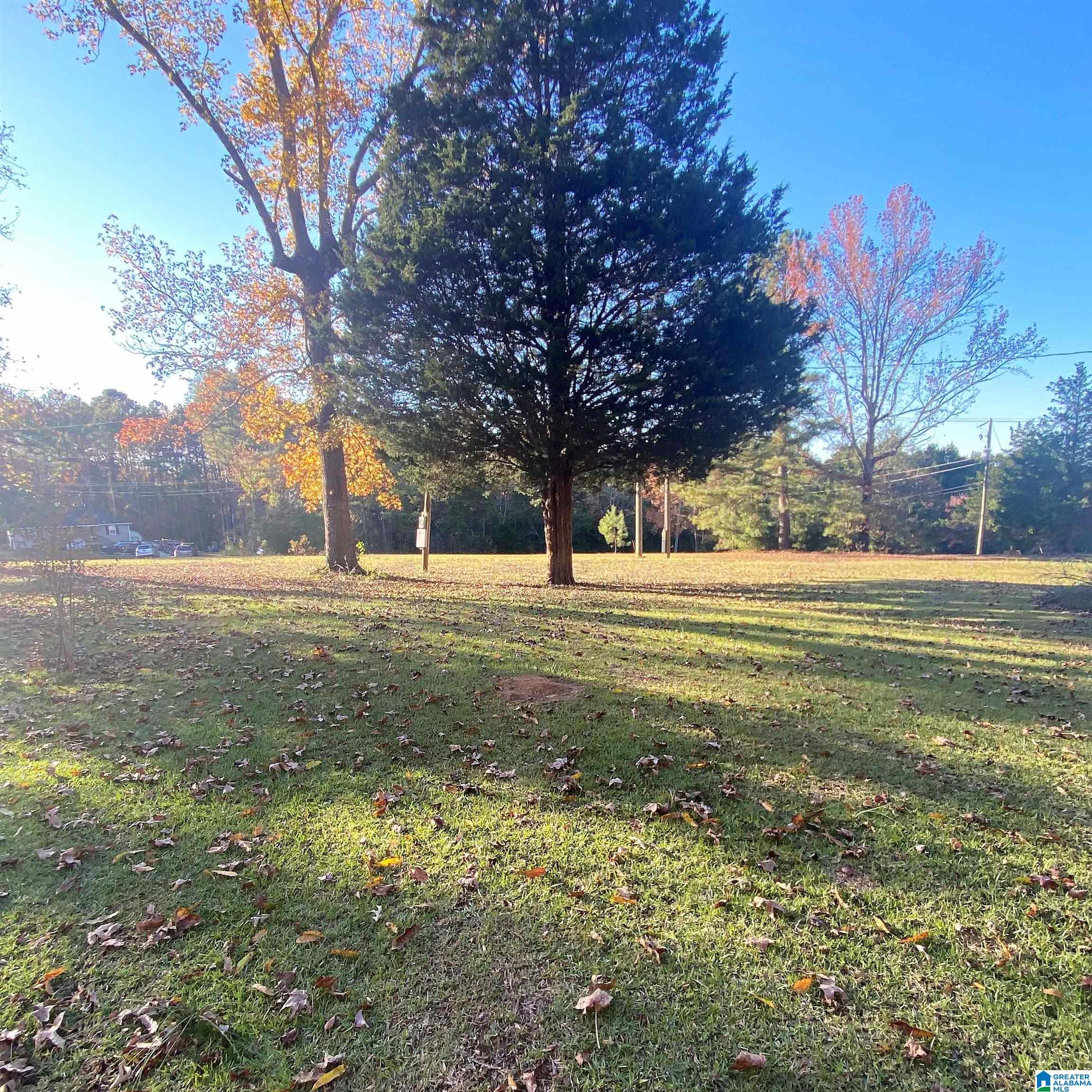 0 Oscar Bradford Road Hayden, AL 35079 - Photo 4 of 6