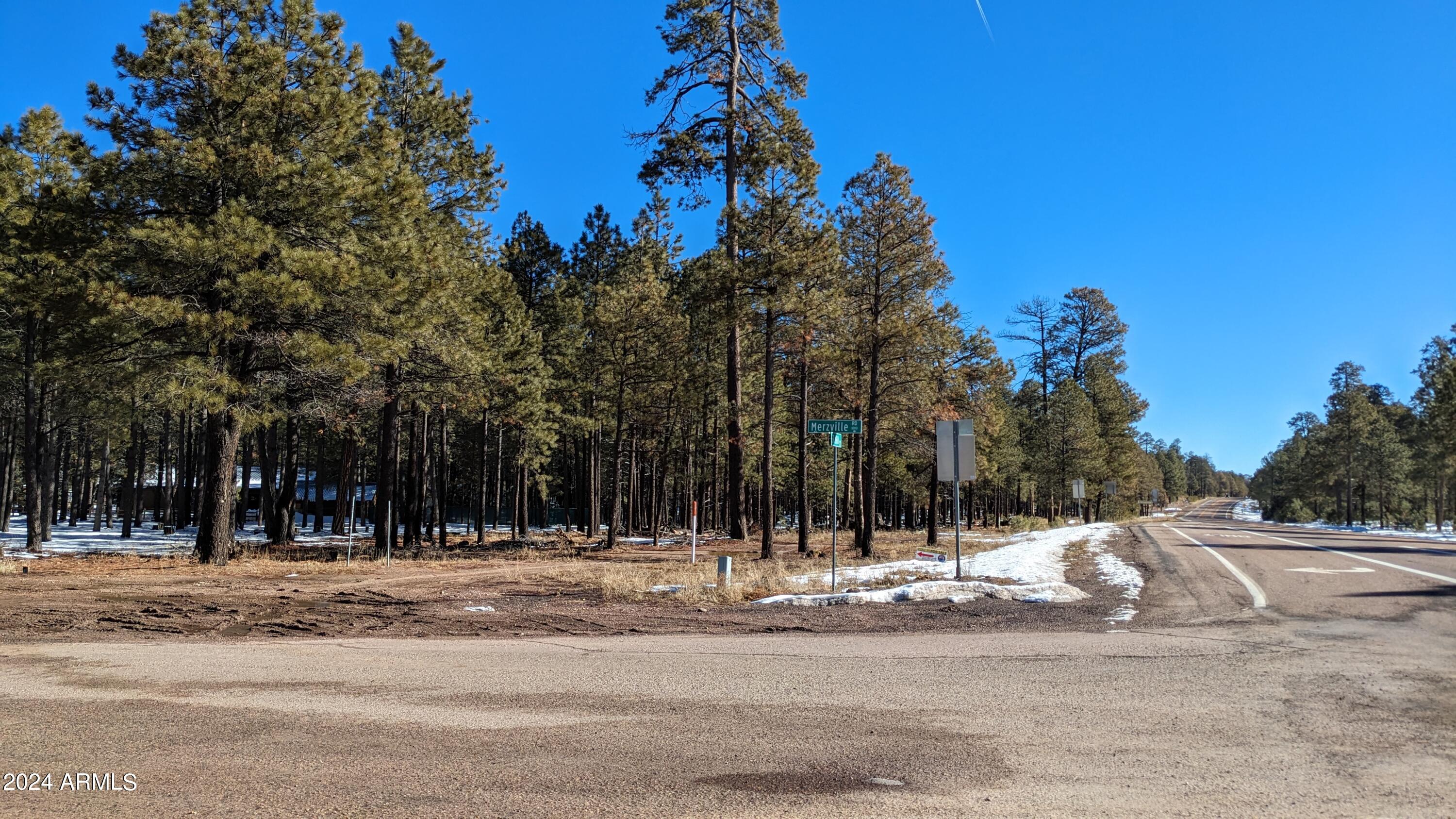 1019 Merzville Road, Unit 234 Forest Lakes, AZ 85931 - Photo 3 of 11 a view of a house with snow on the ground