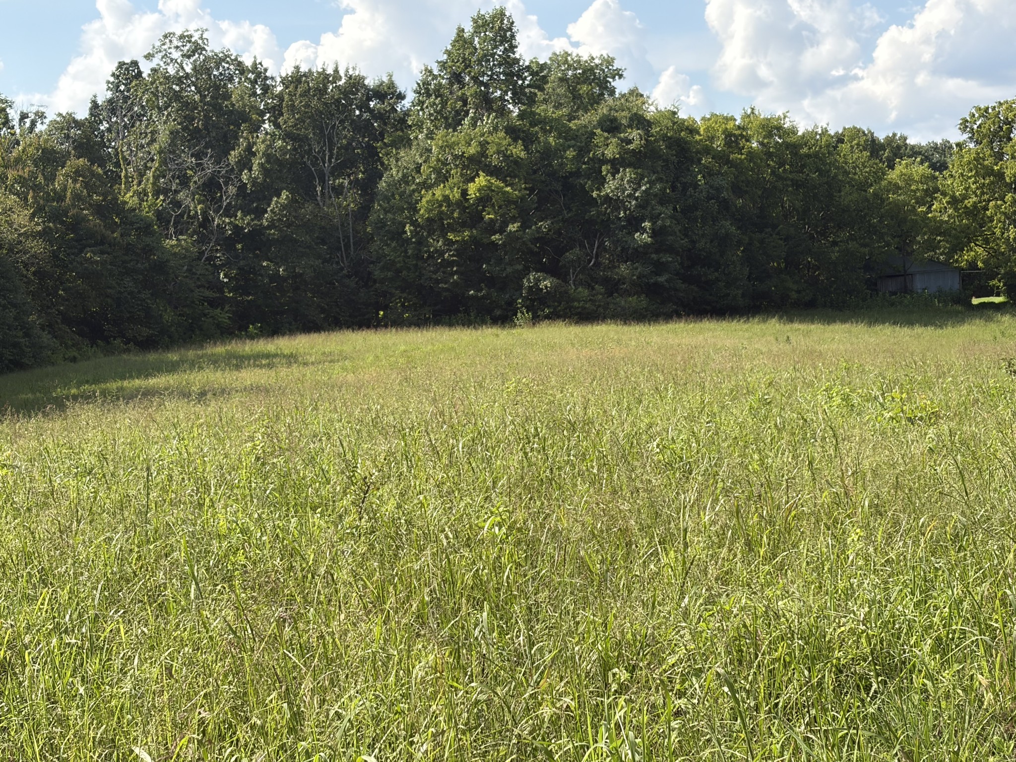 1448 Williams Hollow Road Pulaski, TN 38478 - Photo 56 of 70 Gallery Image 56