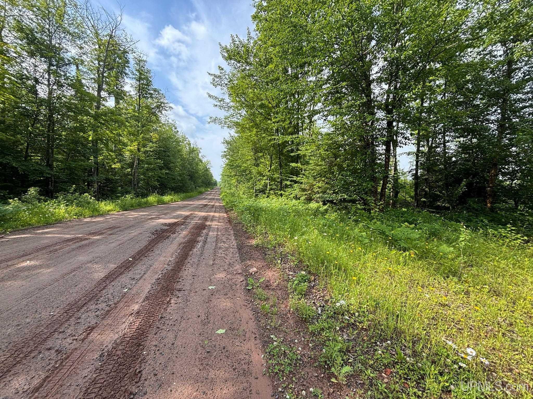 Tbd Beartown Road Baraga, MI 49908 - Photo 12 of 36 Gallery Image 12