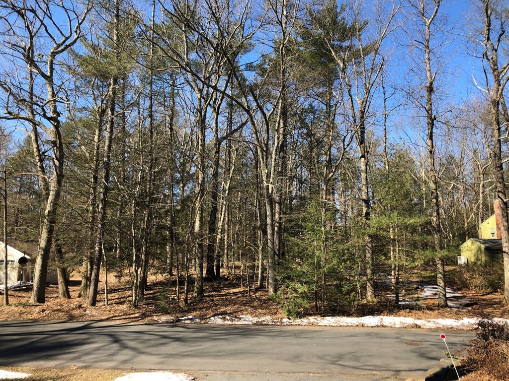 77 Aubinwood Road Amherst, MA 01002 - Photo 1 of 3 Gallery Image 1