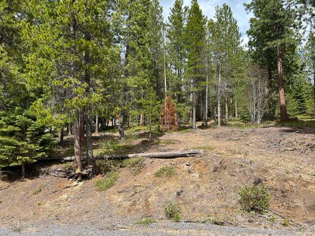43 Clear Spring Way, Unit 43 Crescent Lake, OR 97733 - Photo 4 of 6 IMG_5473