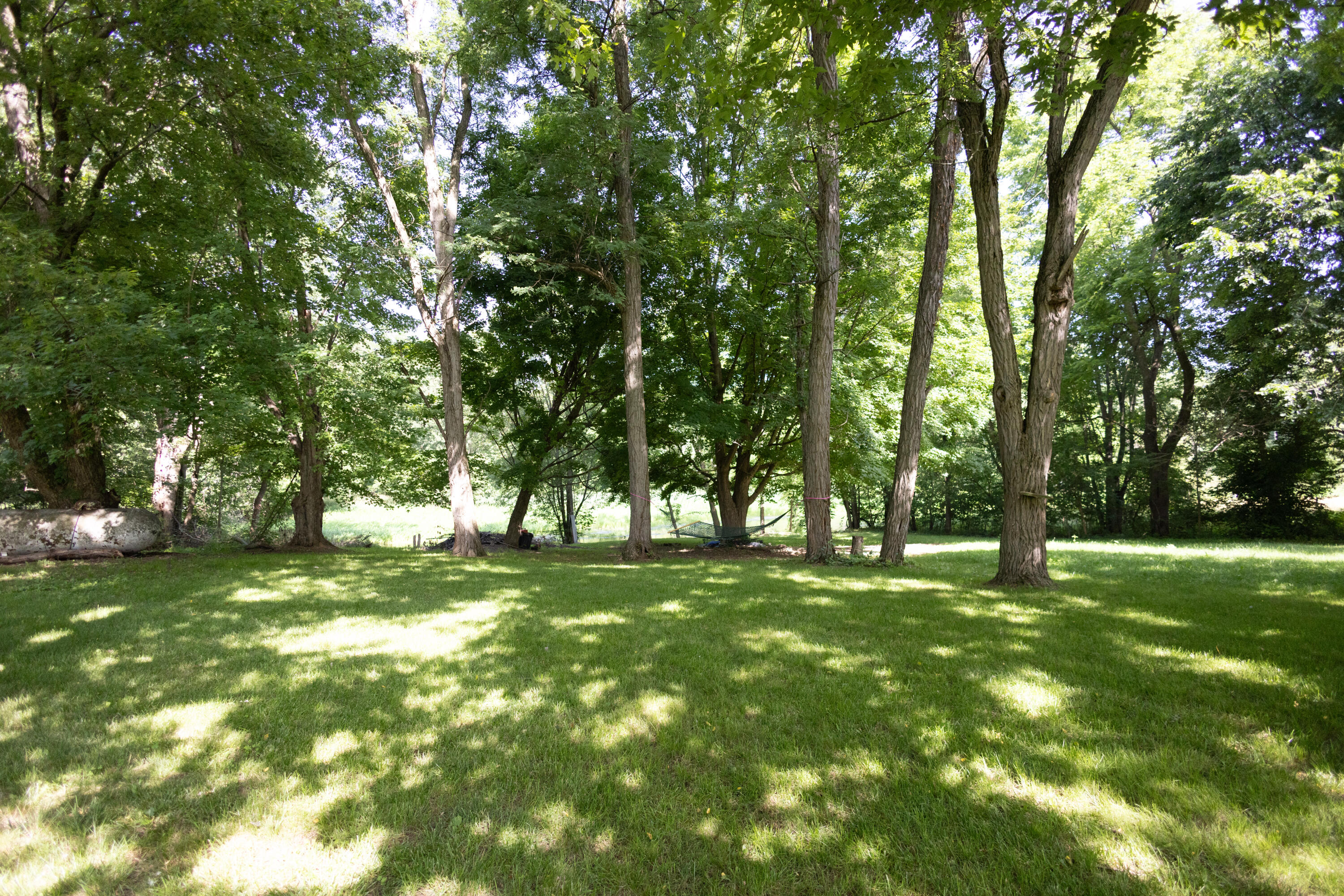 51310 Shorts Road Leonidas, MI 49066 - Photo 16 of 18 GE8A3224