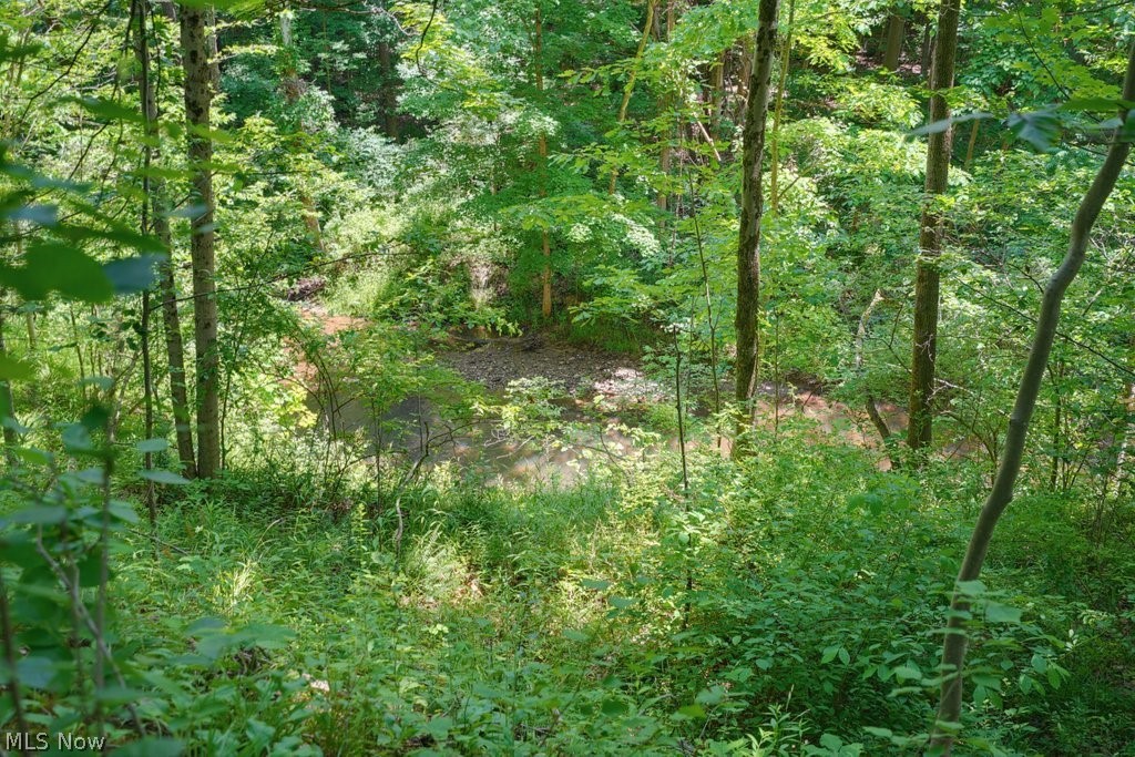 0 North Chillicothe Road Aurora, OH 44202 - Photo 18 of 36