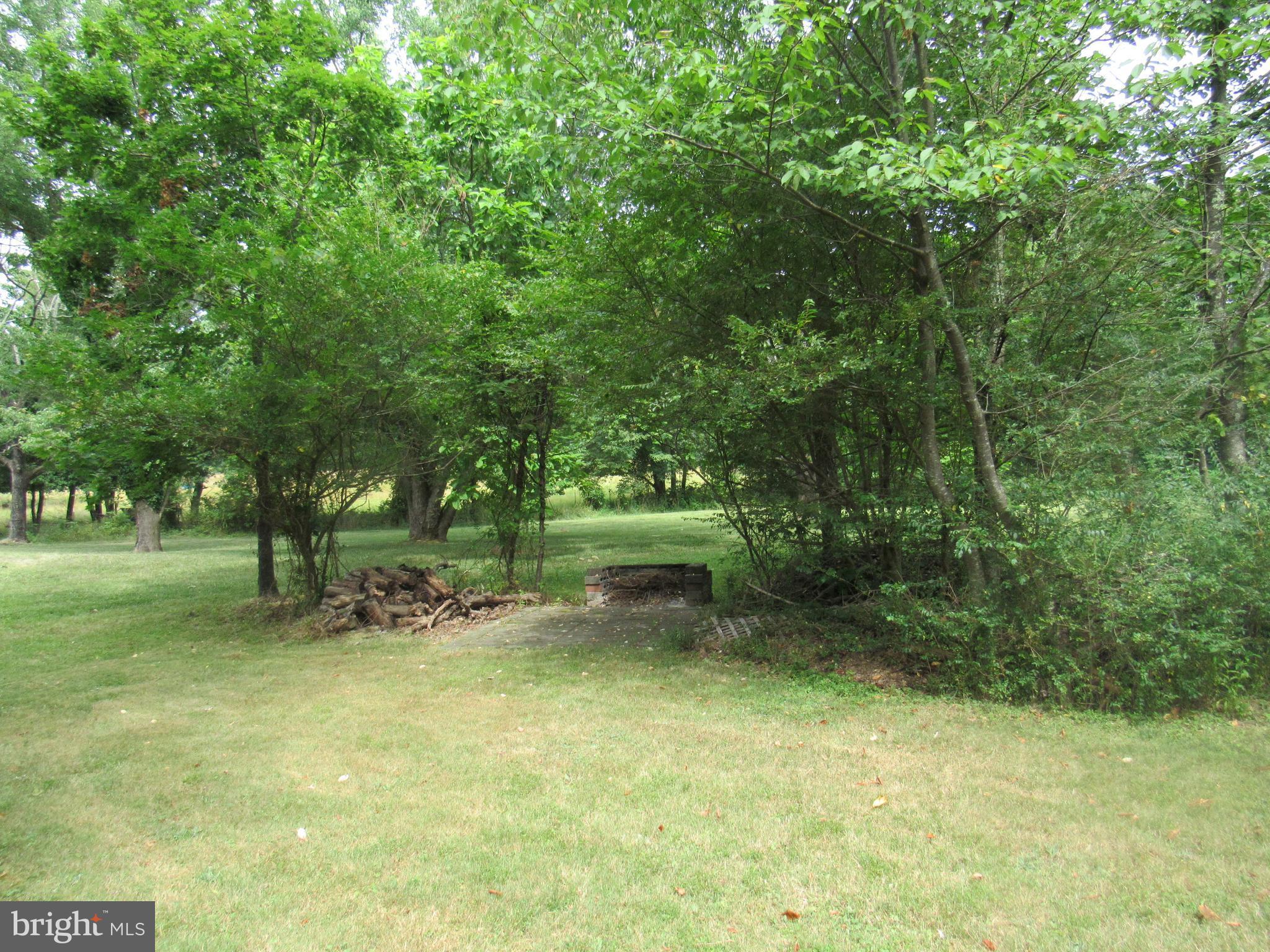 15619 Livingston Road Accokeek, MD 20607 - Photo 17 of 18 a view of a yard with a tree