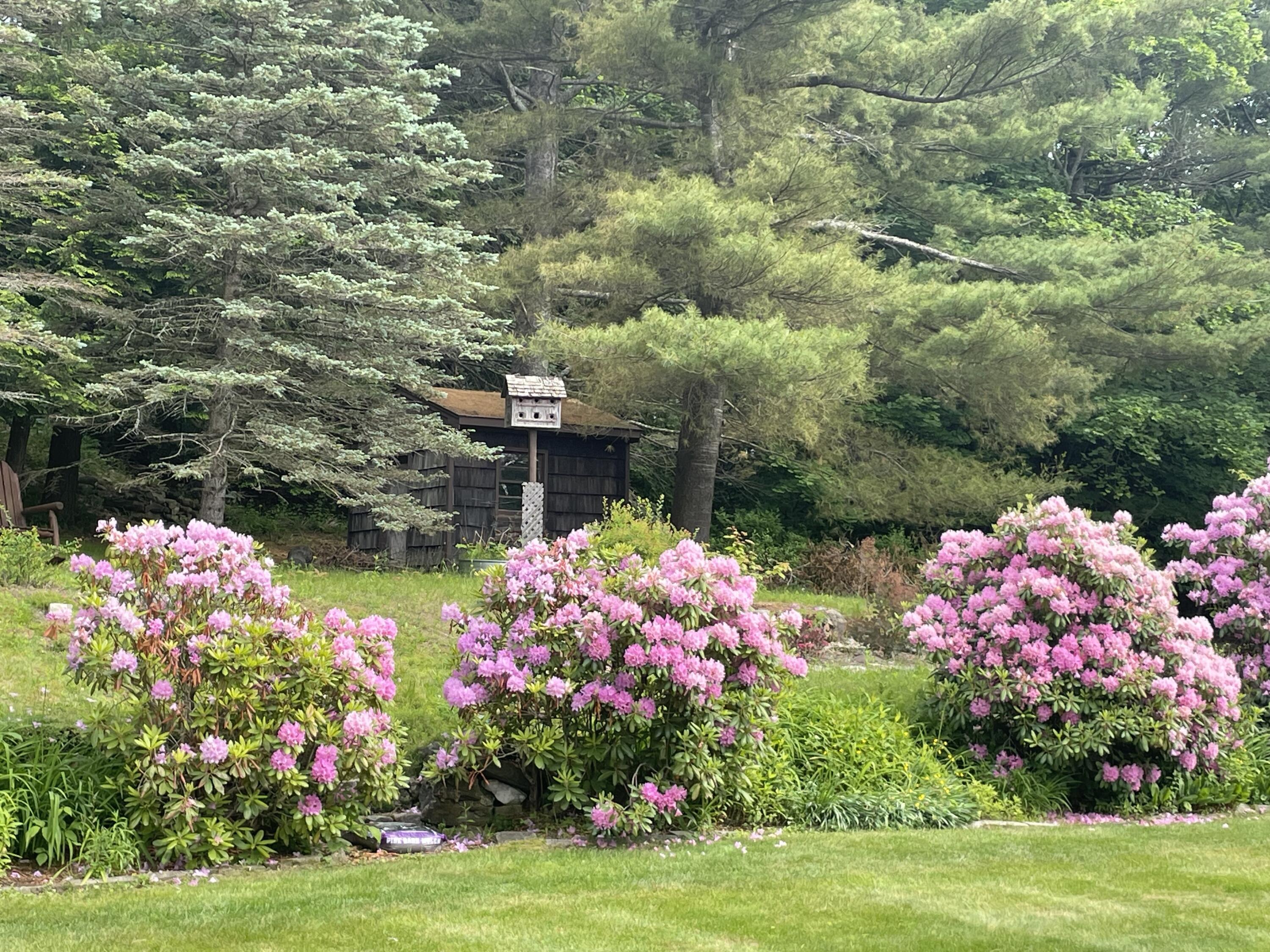 25 Shank Street Lewiston, ME 04240 - Photo 44 of 53 IMG_9383