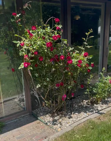 $317,000 | 25 Shank Street, Lewiston, ME 04240