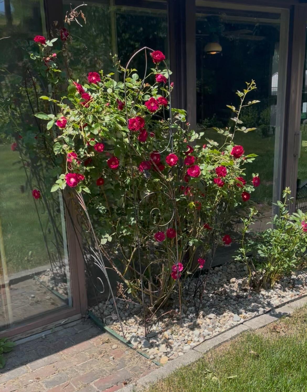 25 Shank Street Lewiston, ME 04240 - Photo 46 of 53 IMG_9690