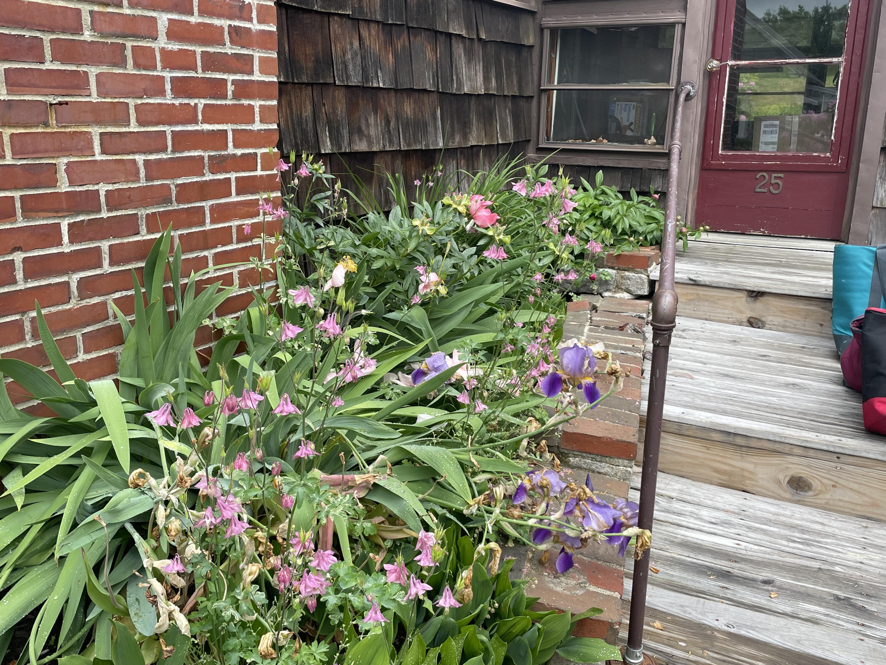 25 Shank Street Lewiston, ME 04240 - Photo 48 of 53 IMG_8106