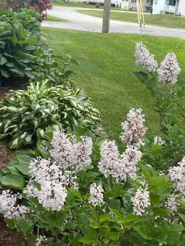 $317,000 | 25 Shank Street, Lewiston, ME 04240