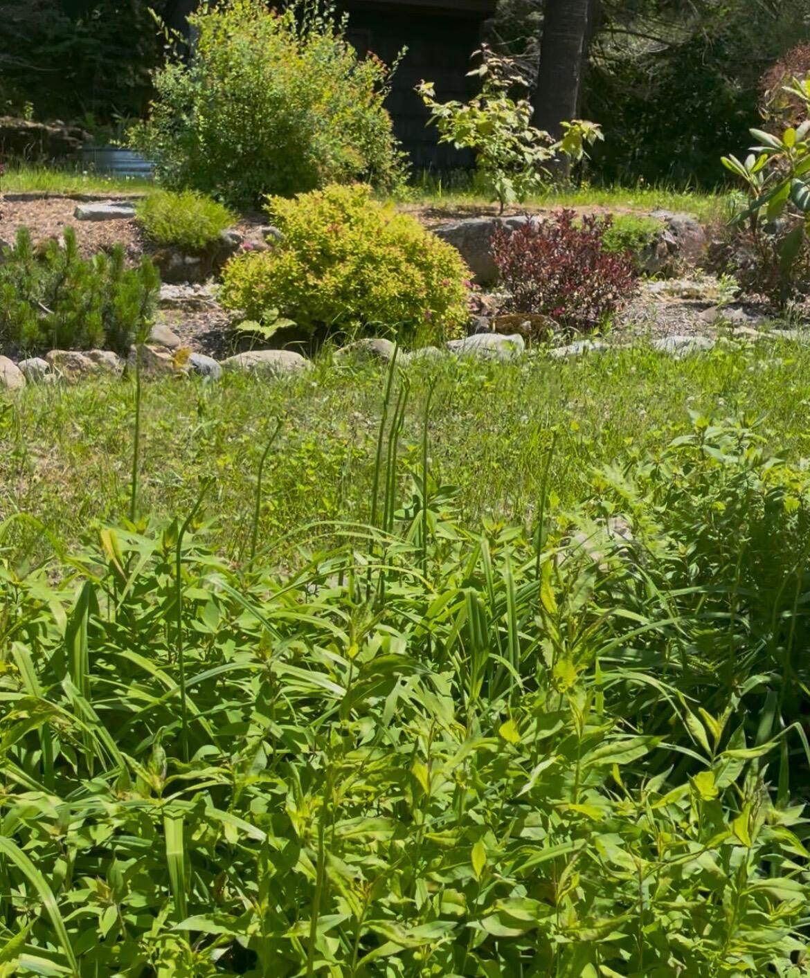 25 Shank Street Lewiston, ME 04240 - Photo 52 of 53 IMG_9693