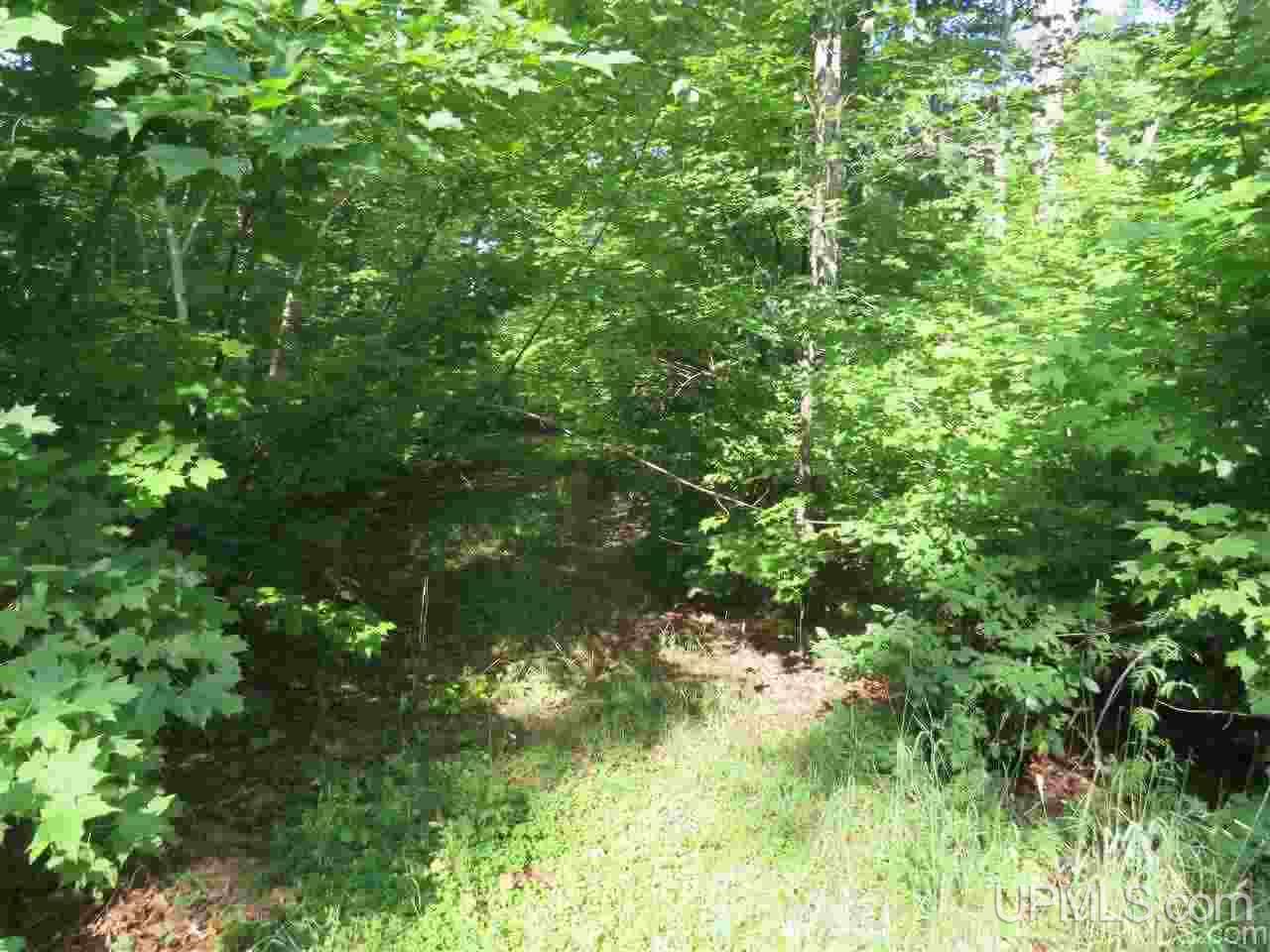 112 Green Road Michigamme, MI 49861 - Photo 32 of 32 Gallery Image 32
