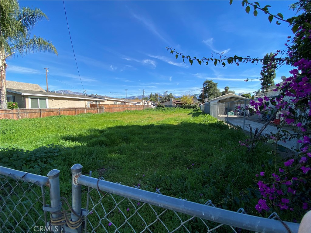 1024 6th Street Redlands, CA 92374 - Photo 3 of 6 a view of a backyard with plants