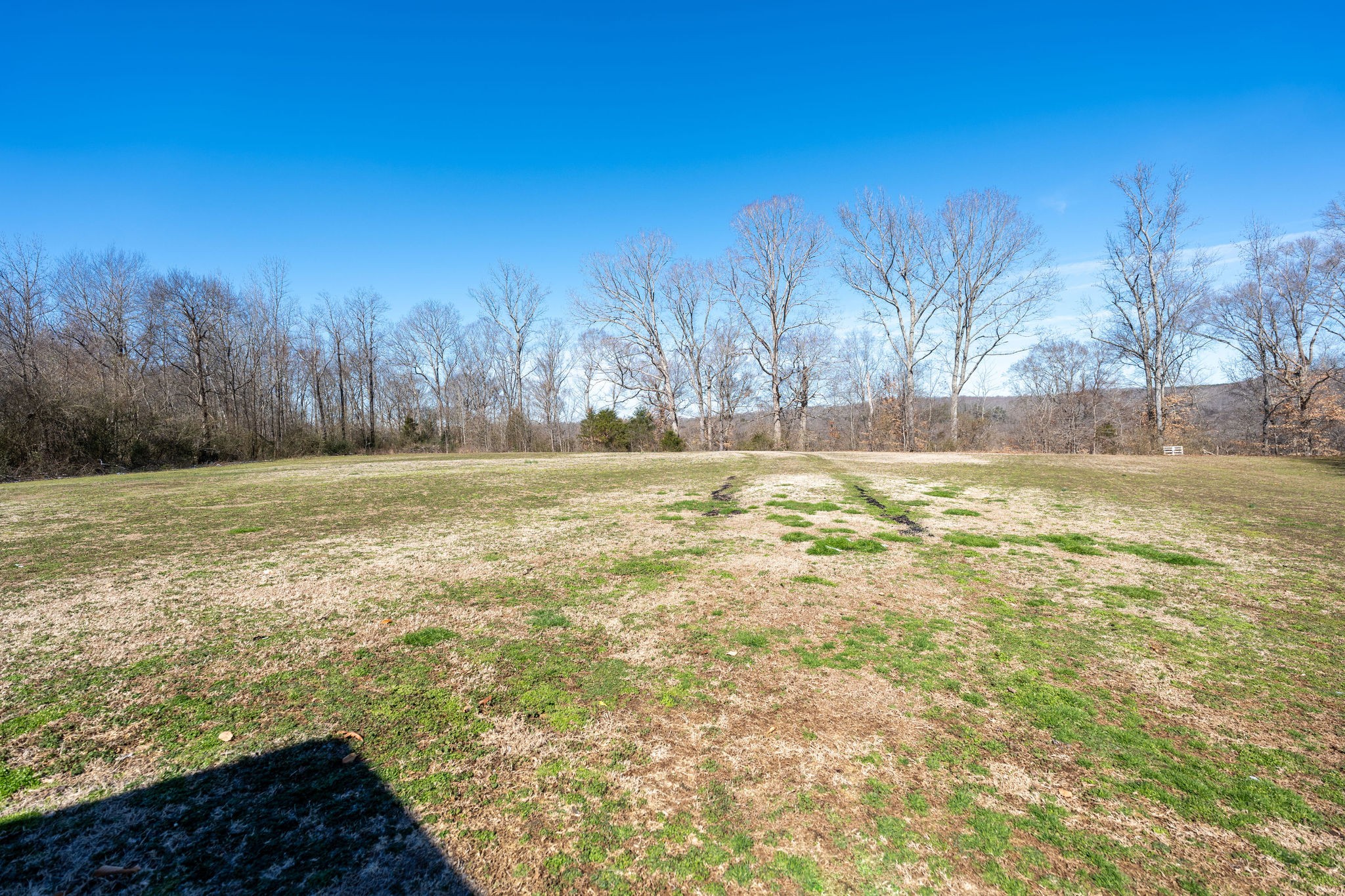 4646 Buffalo Road Hohenwald, TN 38462 - Photo 12 of 30 Gallery Image 12
