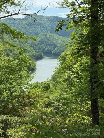 a view of a yard and mountain view