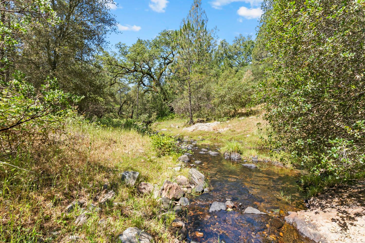 12850 Fiddletown Road Plymouth, CA 95669 - Photo 26 of 88 North Fork Dry Creek