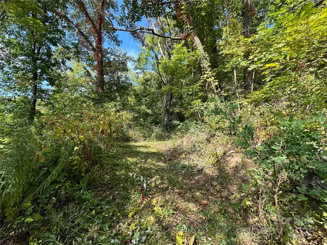 $162,000 | 0 High Rock Vw Drive, Canton, NC 28716