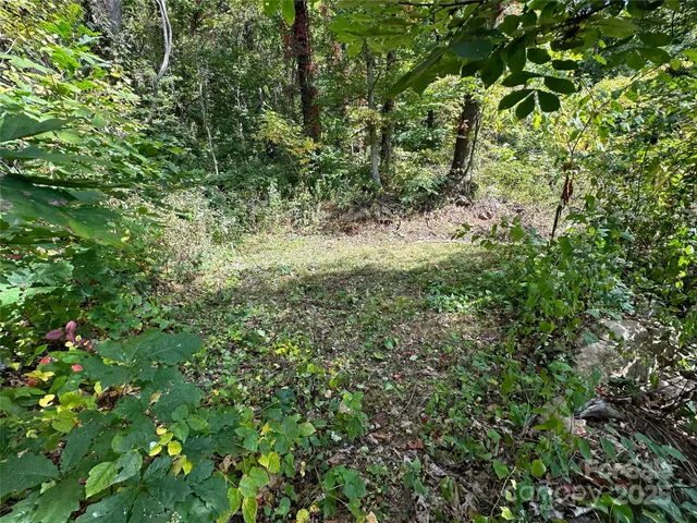 $162,000 | 0 High Rock Vw Drive, Canton, NC 28716