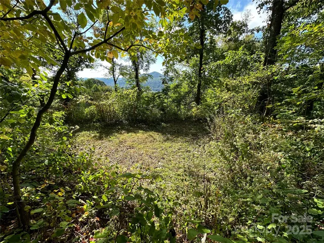 $162,000 | 0 High Rock Vw Drive, Canton, NC 28716