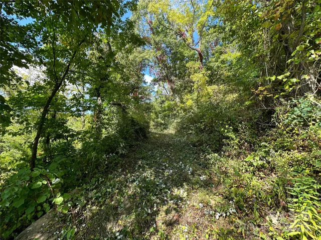 $162,000 | 0 High Rock Vw Drive, Canton, NC 28716