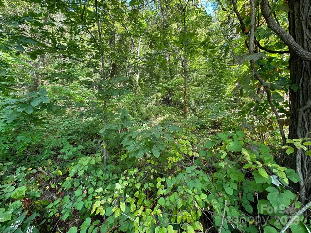 $162,000 | 0 High Rock Vw Drive, Canton, NC 28716