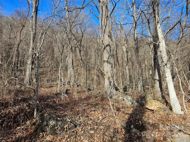 $162,000 | 0 High Rock Vw Drive, Canton, NC 28716