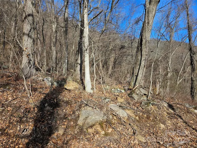 $162,000 | 0 High Rock Vw Drive, Canton, NC 28716