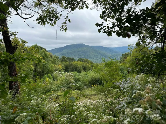 $162,000 | 0 High Rock Vw Drive, Canton, NC 28716