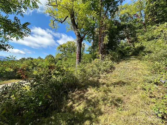 $162,000 | 0 High Rock Vw Drive, Canton, NC 28716