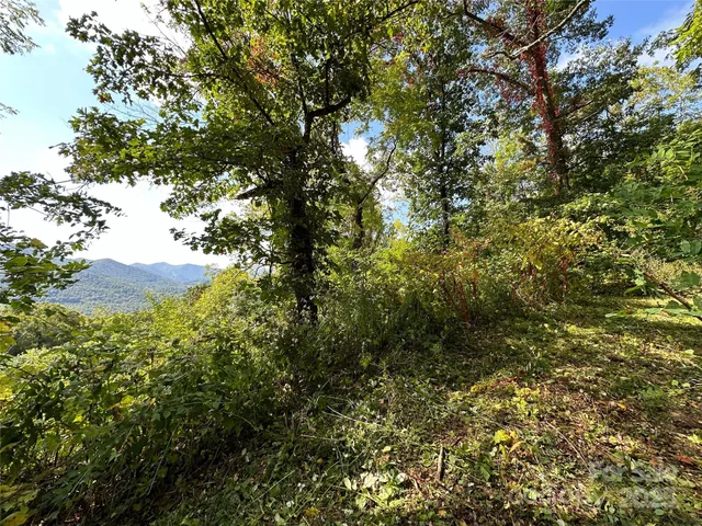 $162,000 | 0 High Rock Vw Drive, Canton, NC 28716