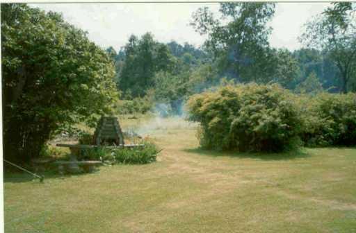 280 Bash Road New Alexandria, PA 15670 - Photo 7 of 8 Yard/Garden.