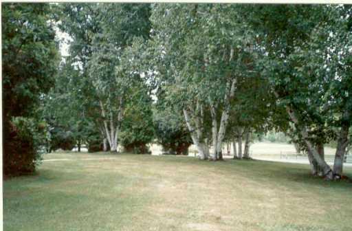 280 Bash Road New Alexandria, PA 15670 - Photo 8 of 8 Yard/Garden.