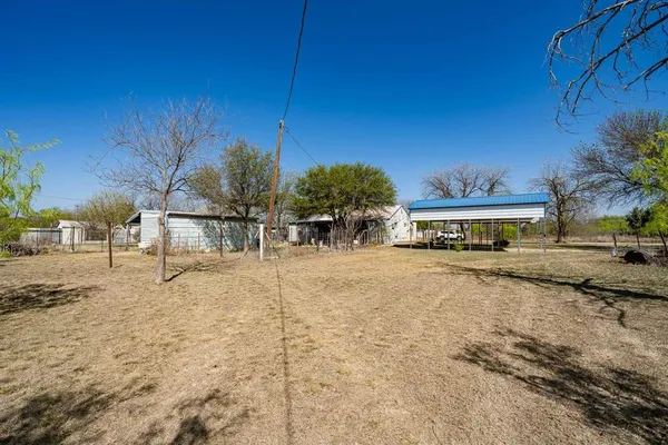 a tall tree in middle of a yard