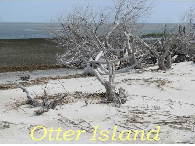 12 Palmetto Road Edisto Island, SC 29438 - Photo 11 of 16 Additional Photo