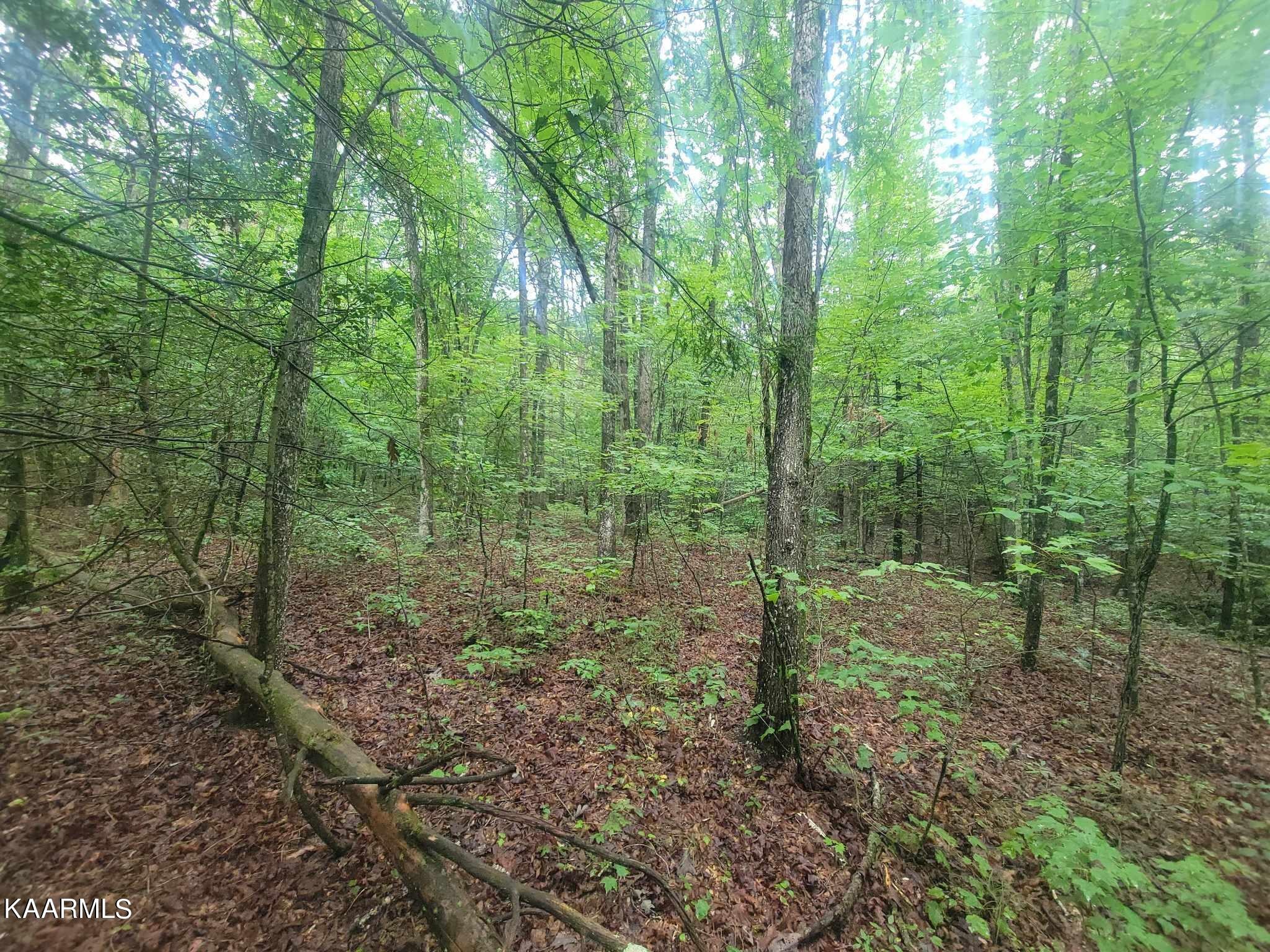 0 40 Model Farm Road Jamestown, TN 38556 - Photo 26 of 59