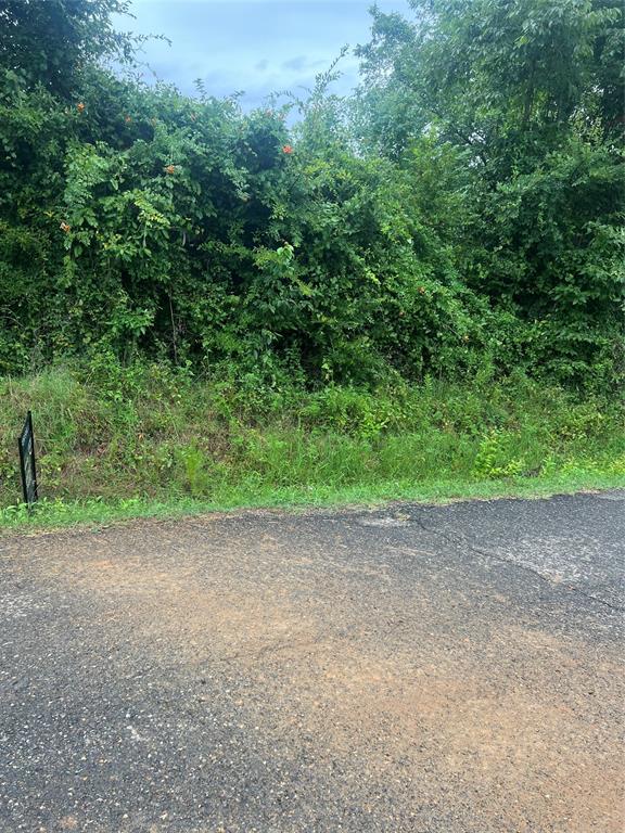 0 Albert Lewis Way Mansfield, LA 71052 - Photo 4 of 7