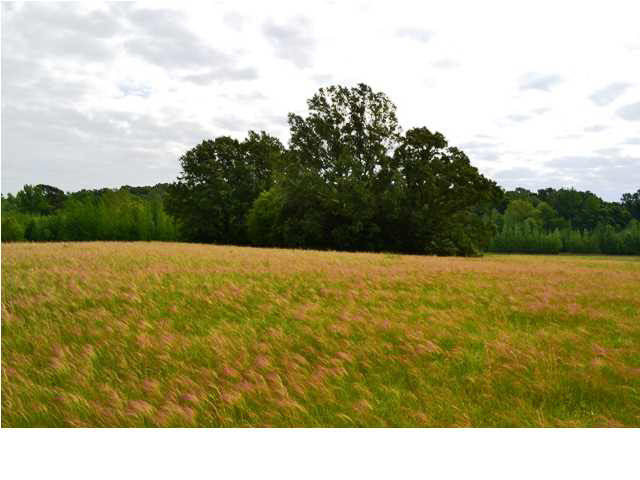 6951 Ebenezer-Pickens Road Pickens, MS 39146 - Photo 1 of 24 Photo 1