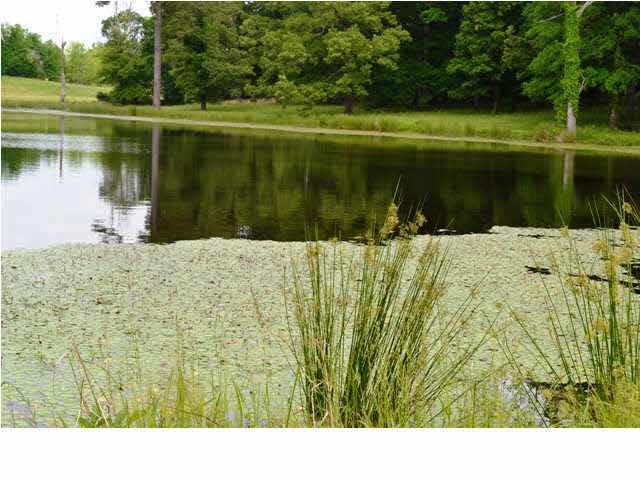 6951 Ebenezer-Pickens Road Pickens, MS 39146 - Photo 11 of 24 Photo 11